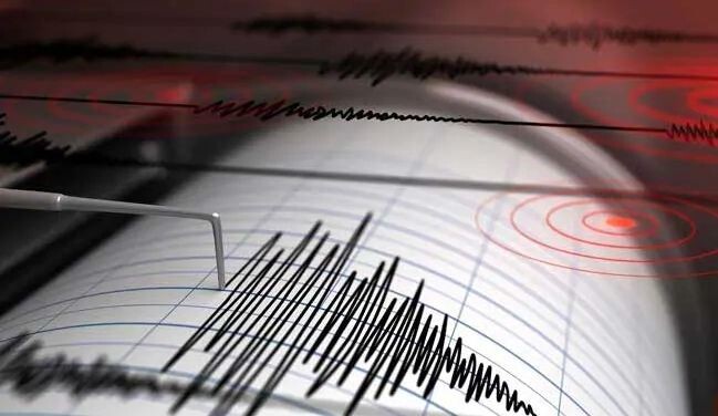 Earthquakes: a scientific perspective