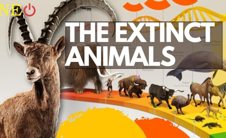 The Extinct Animals We Have Lost in the Past 150 Years