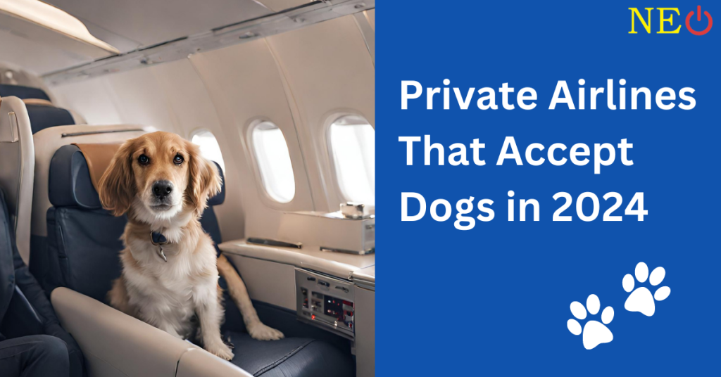 Pet Friendly Airlines That Accept Dogs in 2024