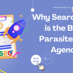 Why Searcharoo is the Best Parasite SEO Agency