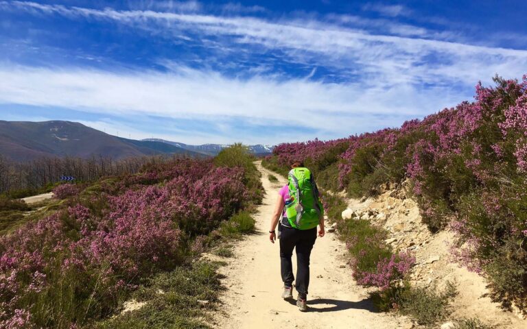 The-Camino-De-Santiago-Spain-768x480