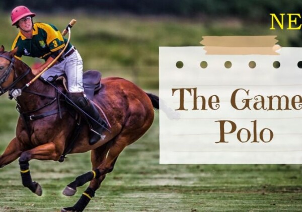 All about the game POLO